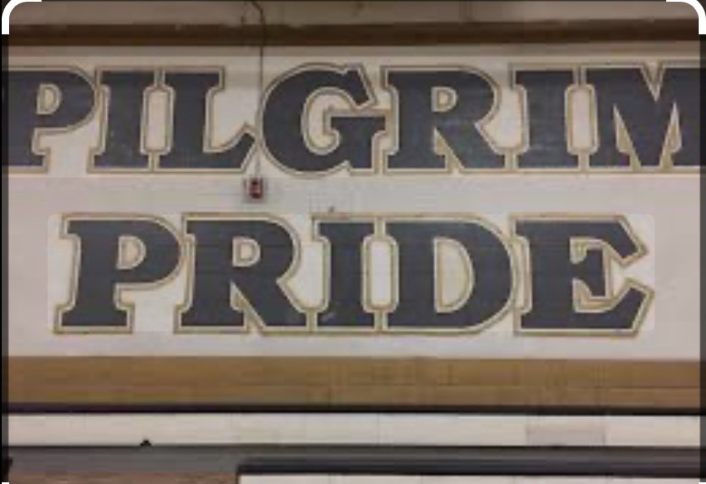 Wrestling Team Preview